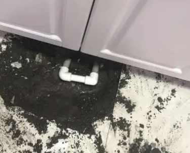 特克斯查漏水哪家好